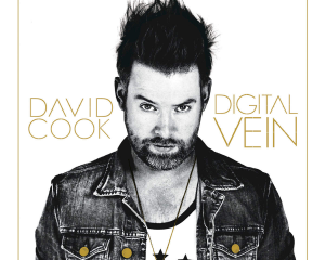 David-Cook-Digital-Vein