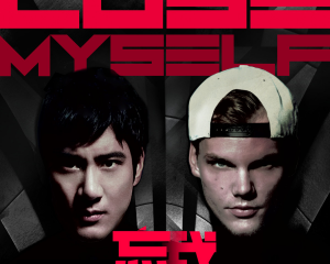 Wang Leehom & Avicii “Lose Myself”