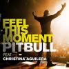 Pitbull-Feel-This-Moment
