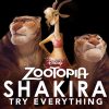 Shakira-Try-Everything