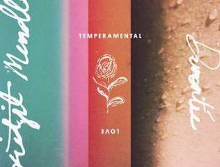 bridgit_mendler_temperamental_love