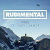 rudimental_free