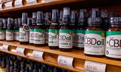 Best DIY CBD Products