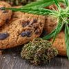 Places to Buy Cannabis and Weed in Canada
