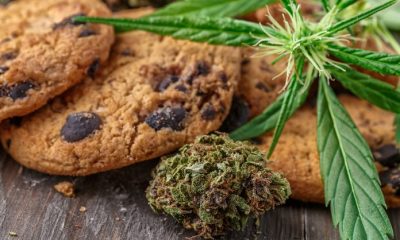 Places to Buy Cannabis and Weed in Canada