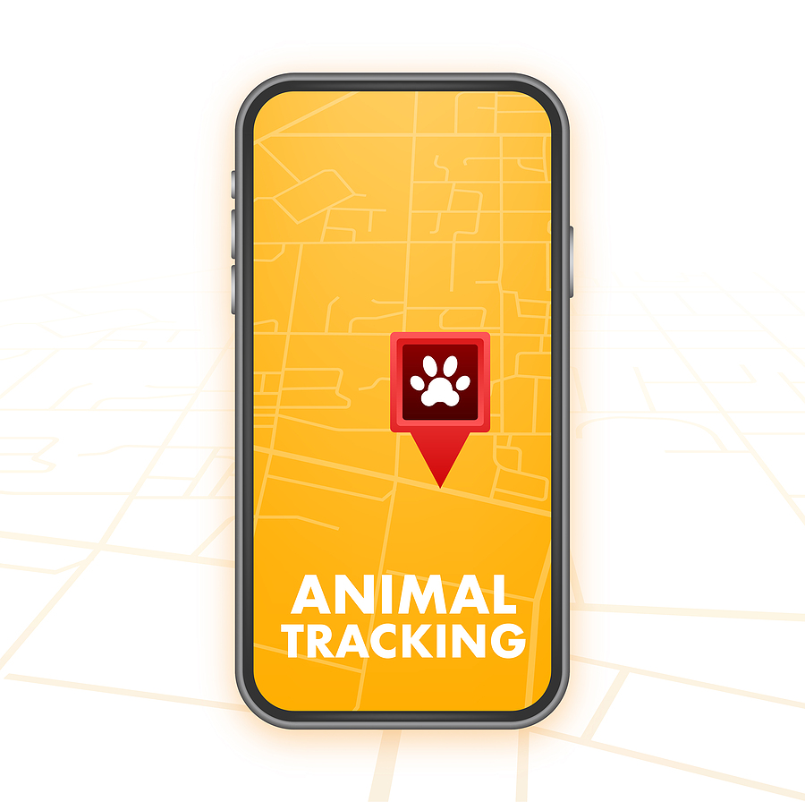 How does the LoRa Pet Tracking system work