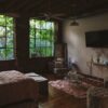 The hidden health dangers of mould in Australian homes
